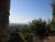View from the Castle